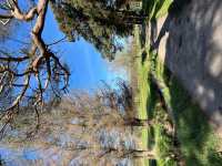 Newsletter 210526